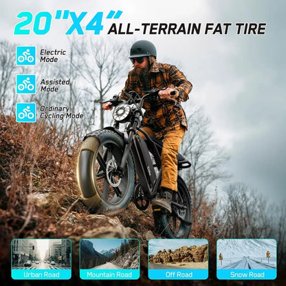 1500W Peak Motor Electric Bike for Adults 60 Miles Range 48V 15Ah Removable Battery 20 Inch Fat Tire