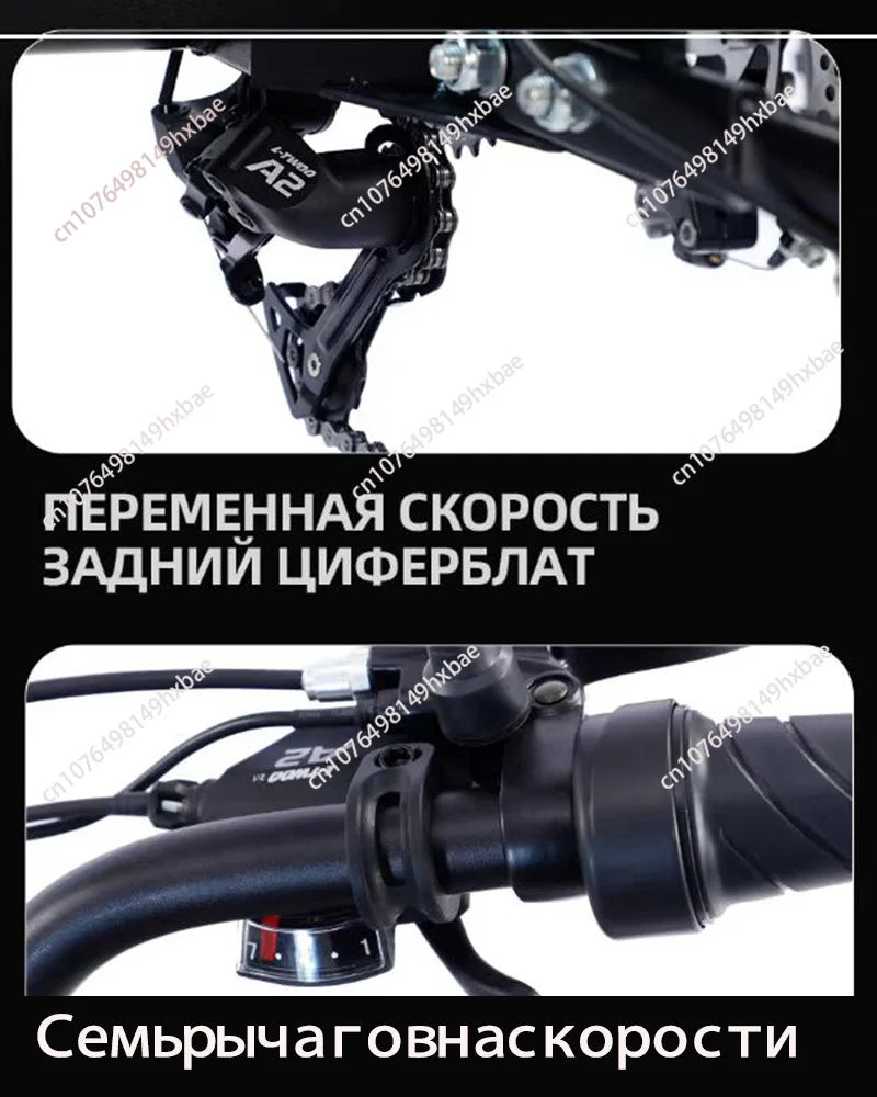 Electric Bike For Man 24-Inch 750W 48V Three Wheeled Electric Vehicle Fat Tire Pedal Powerful Electric Tricycle For Adults Elder