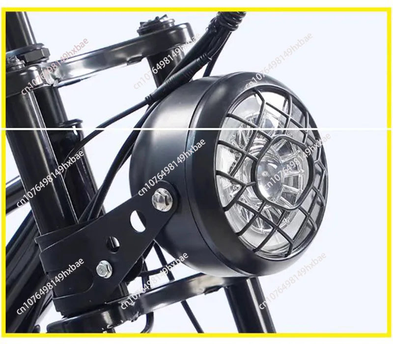 Electric Bike For Man 24-Inch 750W 48V Three Wheeled Electric Vehicle Fat Tire Pedal Powerful Electric Tricycle For Adults Elder