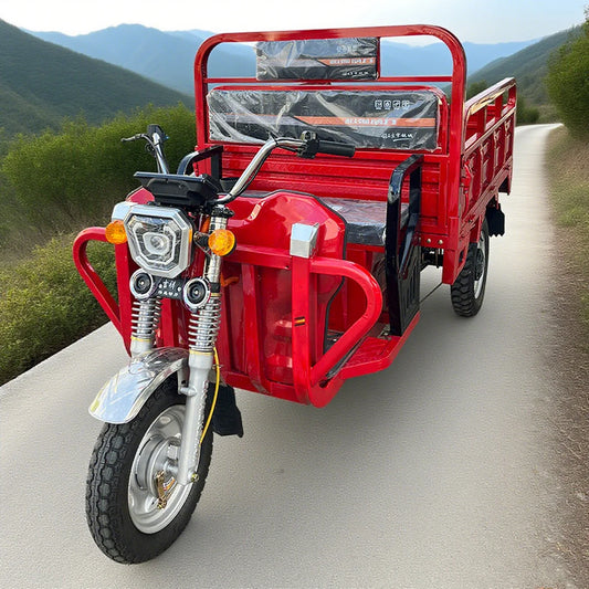 Electric Tricycle Electric Tricycle Electric Cargo Tricycle  3 Wheel Electric Bike Mobility Scooter Three-wheeled Motorcycle