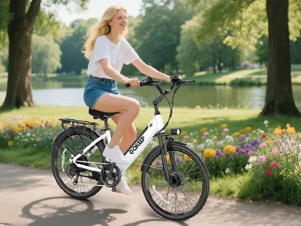 26-inch fashionable E-Bike, 600W brushless motor 48V-10.4ah lithium battery electric moped, adult electric bicycle